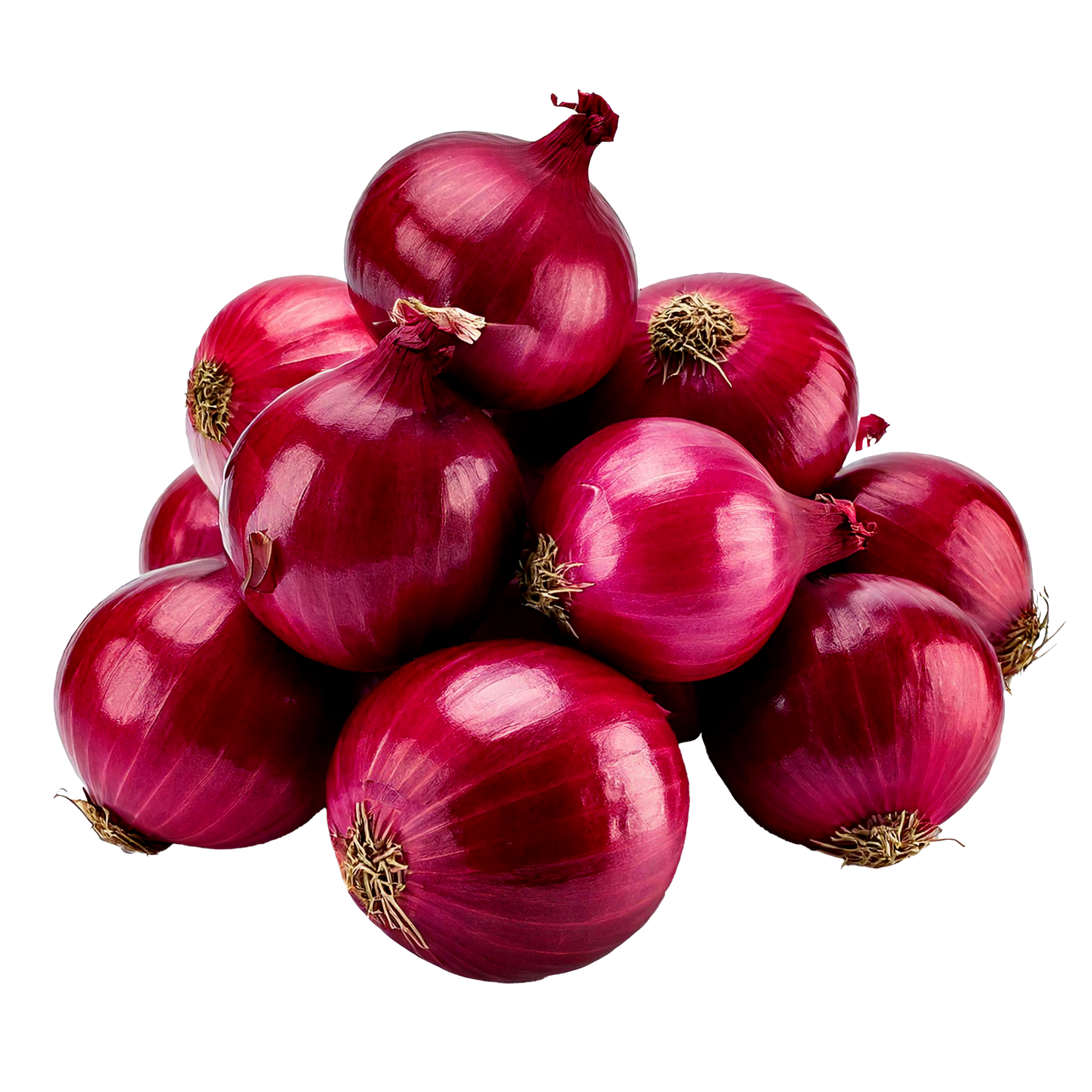 Fresh Red Onion